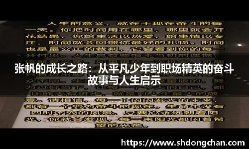 张帆的成长之路：从平凡少年到职场精英的奋斗故事与人生启示