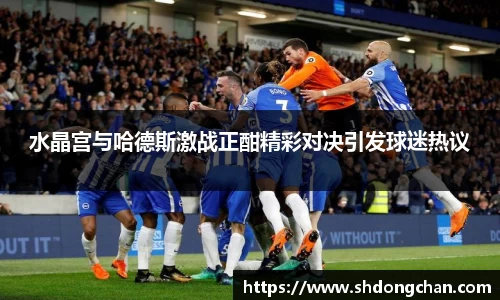 水晶宫与哈德斯激战正酣精彩对决引发球迷热议
