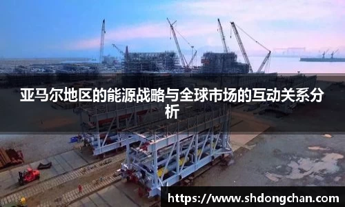 亚马尔地区的能源战略与全球市场的互动关系分析