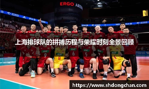 上海排球队的拼搏历程与荣耀时刻全景回顾