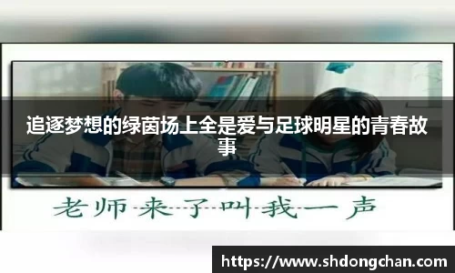 追逐梦想的绿茵场上全是爱与足球明星的青春故事