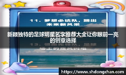 新颖独特的足球明星名字推荐大全让你眼前一亮的创意选择