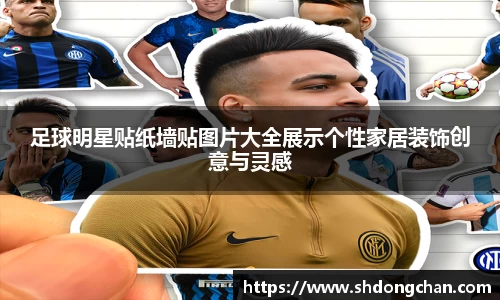 足球明星贴纸墙贴图片大全展示个性家居装饰创意与灵感